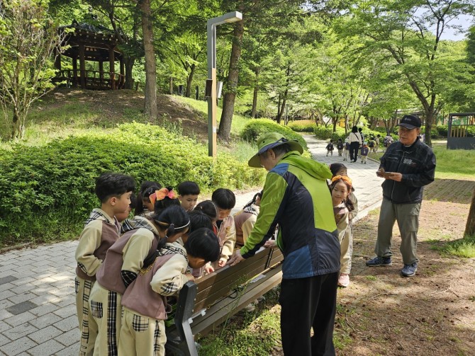 곤충관찰