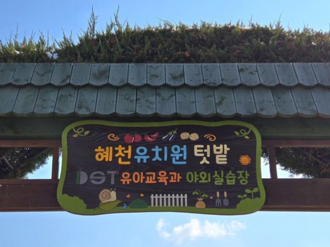 사진1